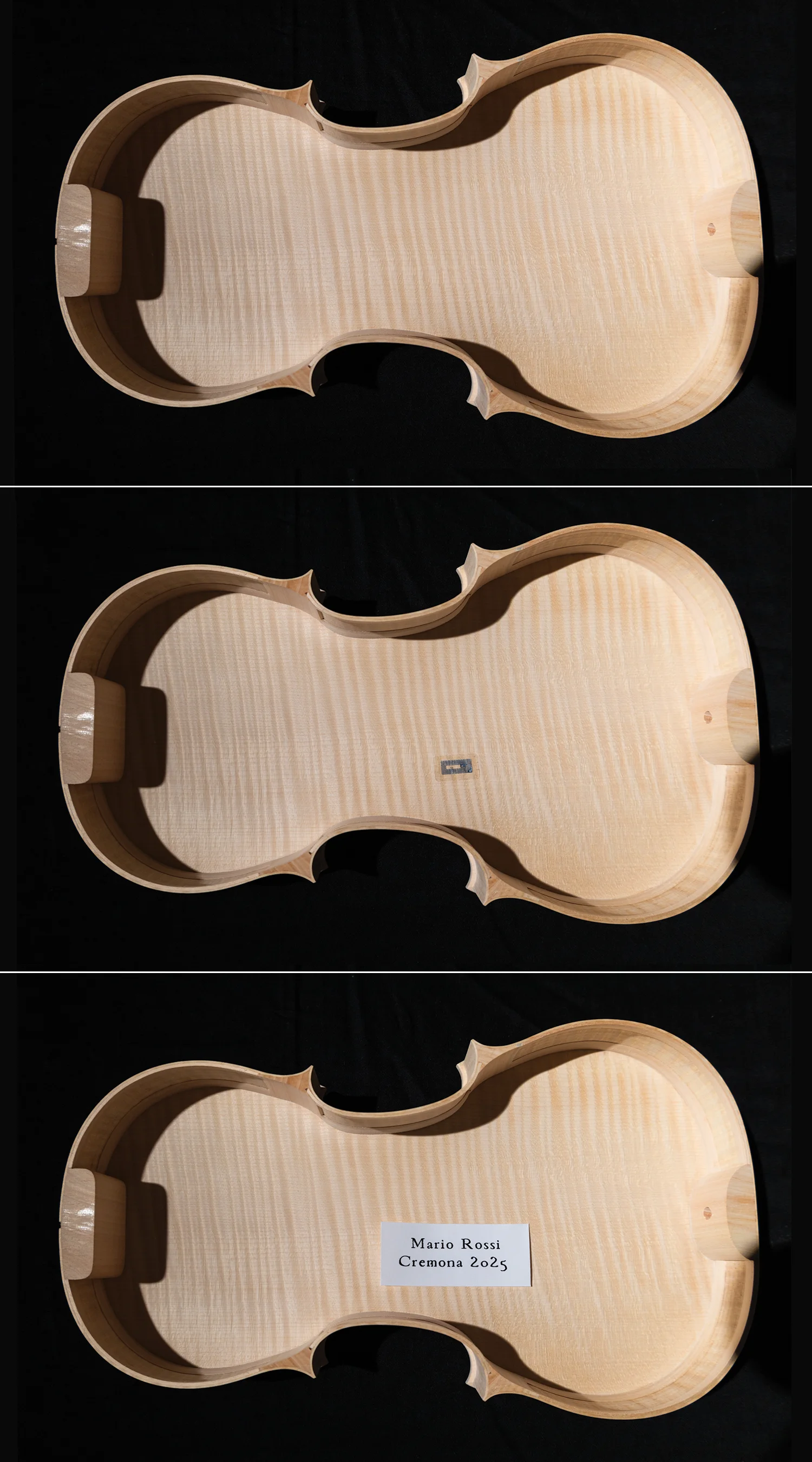violin-lab